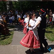 Sortáncolt egész Gúta