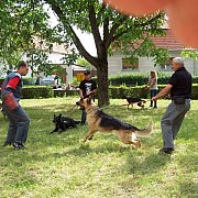 Kamionokban és sátrakban aludtak a diákok