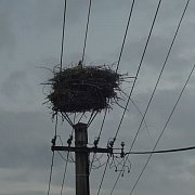 Kamionokban és sátrakban aludtak a diákok