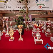 Teremkerékpár: Visegrádi Kupán is bizonyítottak a gútaiak