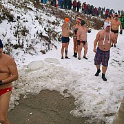 Rozmárok, jegesmedvék és jégkrémek a Vágban Gútánál