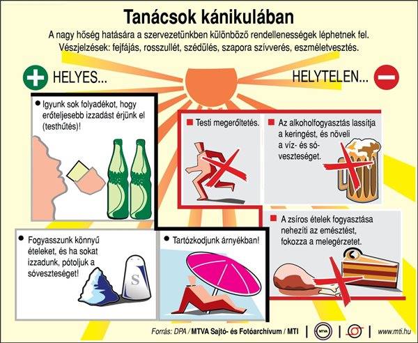 Taanácsok kánikulában (forrás: DPA, MTVA Sajtó- és Fotoarchívum, MTI)