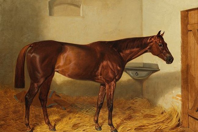 152 éve született a leghíresebb magyar hölgy